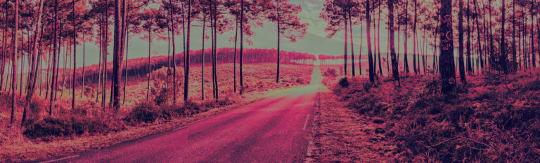 Bonjour tout le monde !